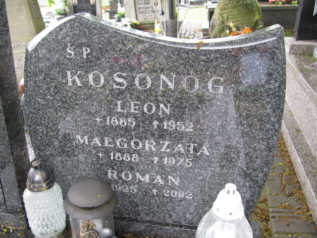 Teresa Kosonóg 1933 Kurzeszyn - Grobonet - Wyszukiwarka osób pochowanych