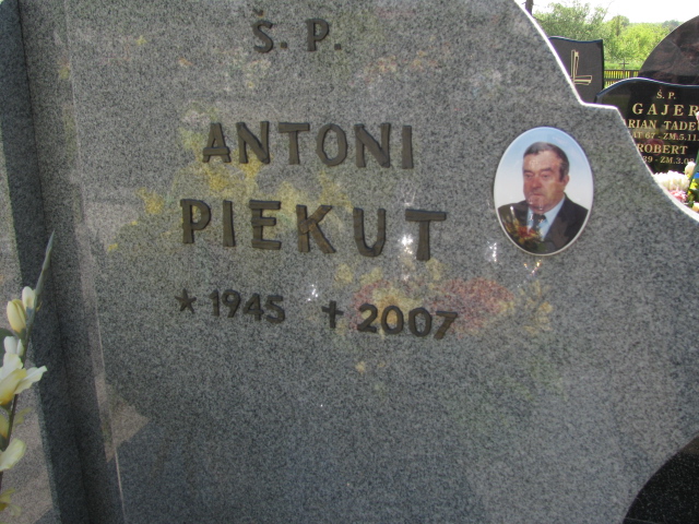 Antoni Piekut 1944 Kurzeszyn - Grobonet - Wyszukiwarka osób pochowanych